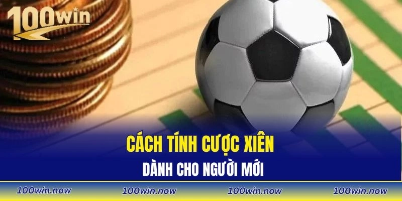 Cách tính cược xiên dành cho người mới