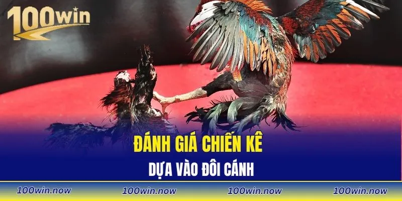 Đánh giá chiến kê dựa vào đôi cánh